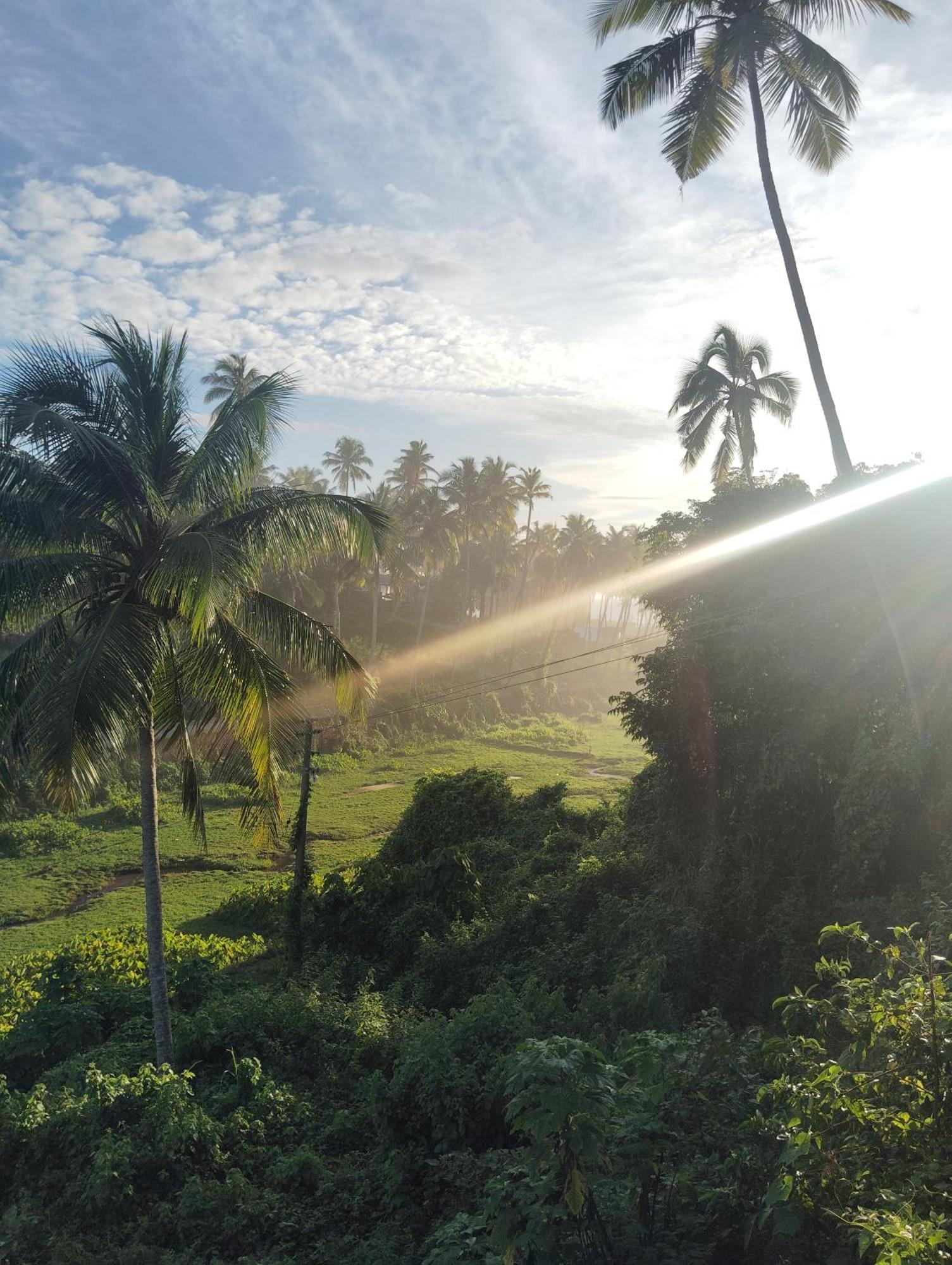 Joseph Dale Homestay Varkala Εξωτερικό φωτογραφία